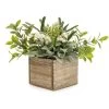 Dunelm Lily And Herbs In Wooden Box